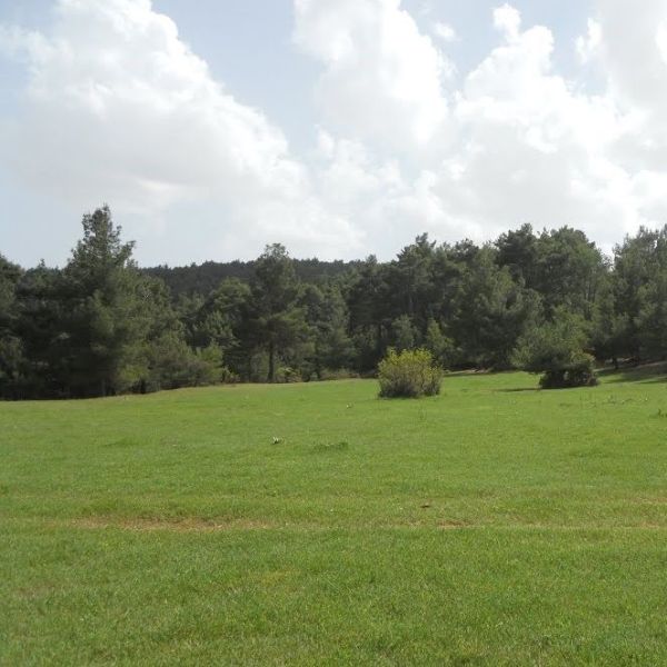 Norgaz Piknik Alanı › Gezi Rehberi | Dinar | Afyonkarahisar