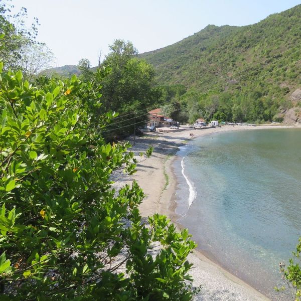 Karaman Köyü Plajı › Gezi Rehberi | Kurucaşile | Bartın