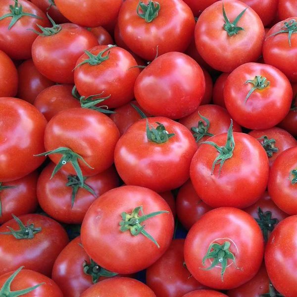 Edirne Domatesi › Yöresel Ürünler | Havsa | Edirne