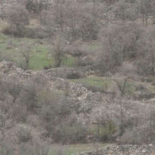 Kalpur Harabeleri › Gezi Rehberi | Ağın | Elazığ