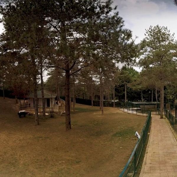 Çatalmeşe Mesire Alanı › Gezi Rehberi | Bahçelievler | İstanbul