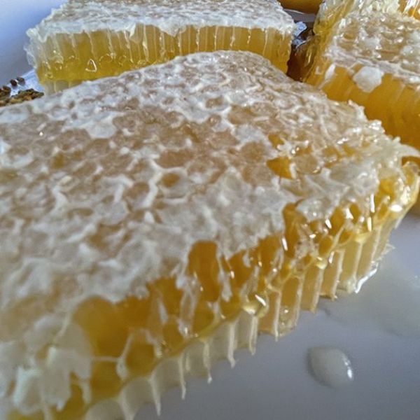 Karabük Balı › Yöresel Ürünler | Merkez | Karabük