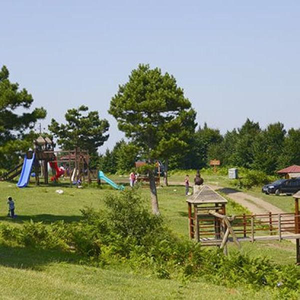 Suadiye Tabiat Parkı › Gezi Rehberi | Kartepe | Kocaeli