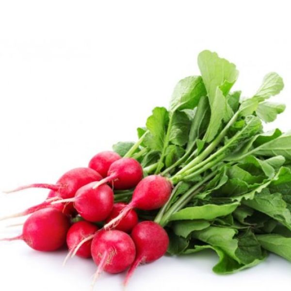 Turp Otu › Yöresel Ürünler | Bodrum | Muğla