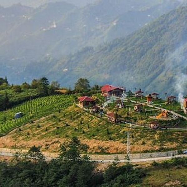 Arapdüzü Mesire Alanı › Gezi Rehberi | Güneysu | Rize