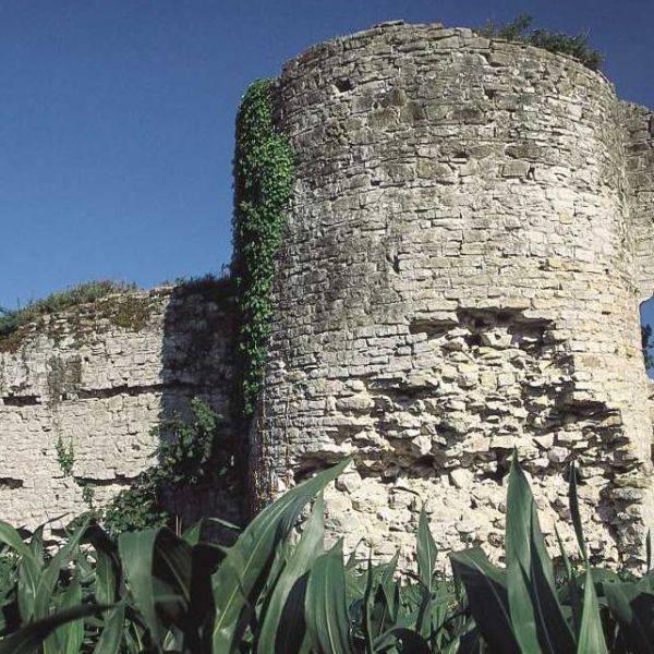 Seyifler Kalesi › Gezi Rehberi | Ferizli | Sakarya