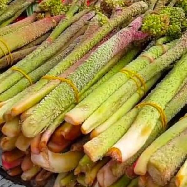 Içkın › Yöresel Ürünler | Eruh | Siirt