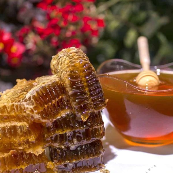 Zonguldak Kestane Balı › Yöresel Ürünler | Devrek | Zonguldak